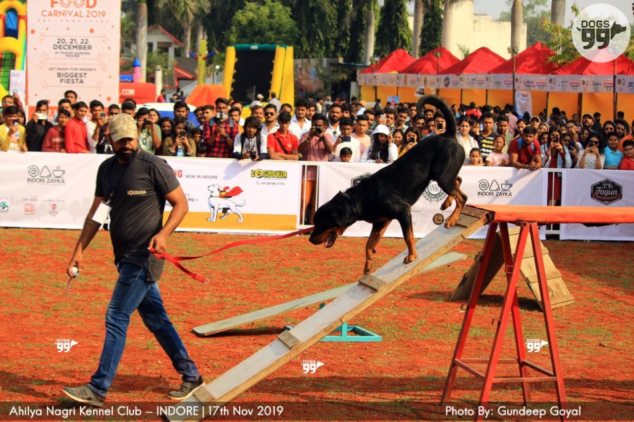 Furventures - Pet Adventures & Events - Photo 27